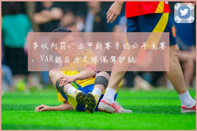 争议判罚,法甲新赛季的公平竞赛,VAR能否为足球保驾护航